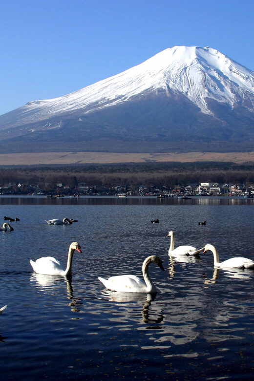 From Tokyo: Fuji Mountain Area - FujiQ - Lake Kawaguchiko - Chureito Pagoda - Final Thoughts