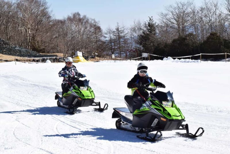 From Tokyo: Fujiyama Snow Resort Yeti Winter Ski Day Tour - Authentic Experiences from Travelers