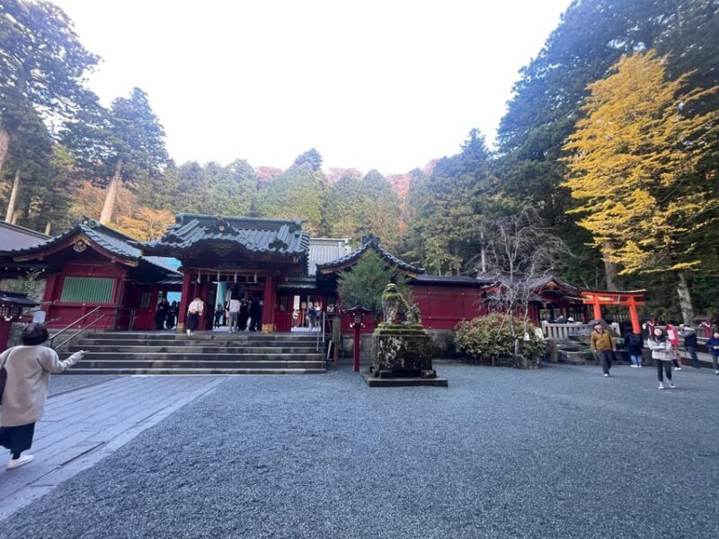 From Tokyo: Hakone Full Day Customizable Private Tour - Who Will Love This Tour?