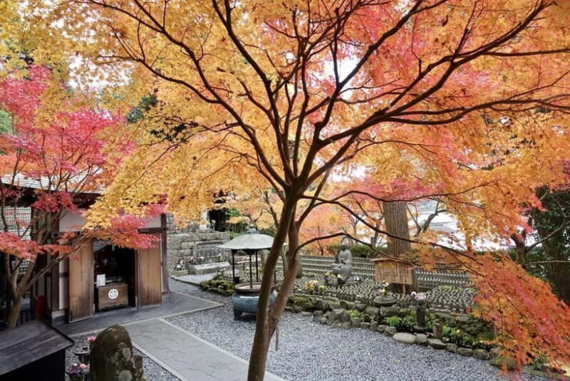 From Tokyo: Kamakura and Enoshima 1-Day Bus Tour - Key Points