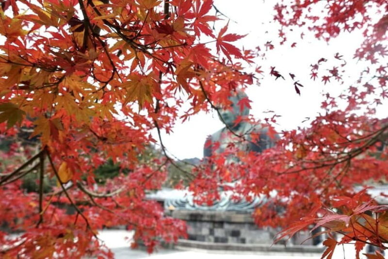 From Tokyo: Kamakura and Enoshima 1-Day Bus Tour - Final Thoughts: Who Will Love This Tour?