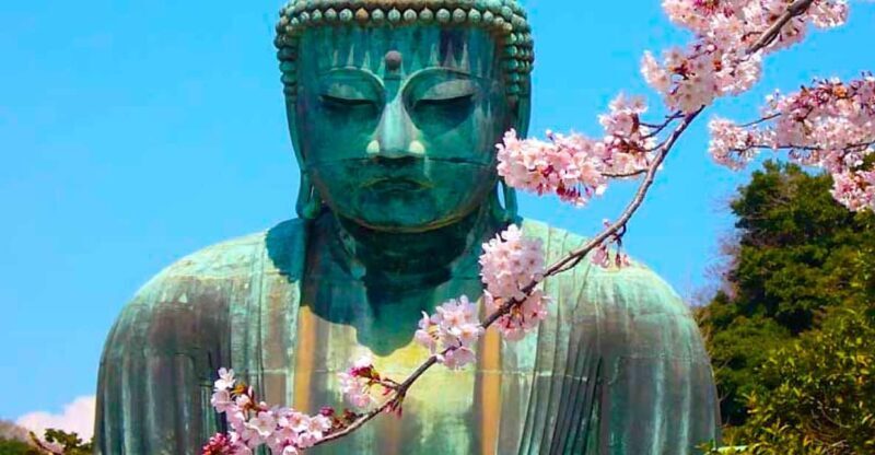 From Tokyo: Kamakura and Enoshima Full-Day Private Trip - Key Points