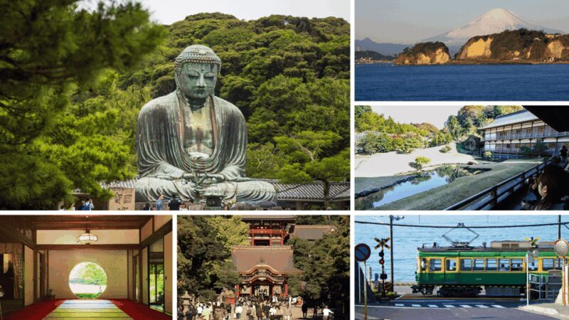 From Tokyo: Kamakura Full Day Tour with a Local Expert Guide - Key Points