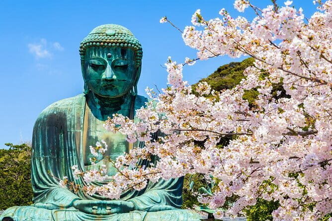 From Tokyo Kamakura, Hachimangu Shrine and Enoshima Full Day Tour - What’s the Real Value?