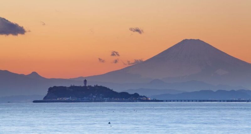 From Tokyo: Kamakura Private Customize Tour by Luxury Van - Key Points