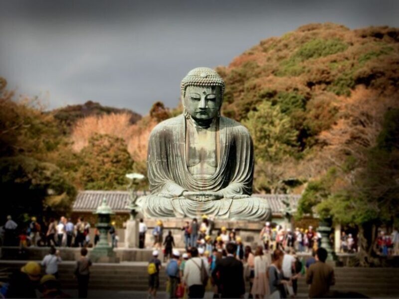 From Tokyo: Kamakura Private Customize Tour by Luxury Van - Transportation and Comfort
