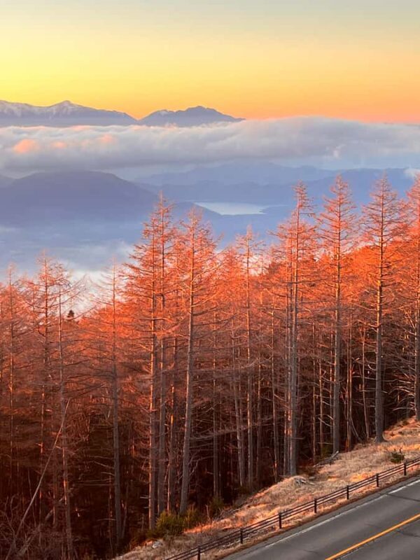 From Tokyo: Mount Fuji and Hakone Private Day Trip - A Deep Dive into the Experience