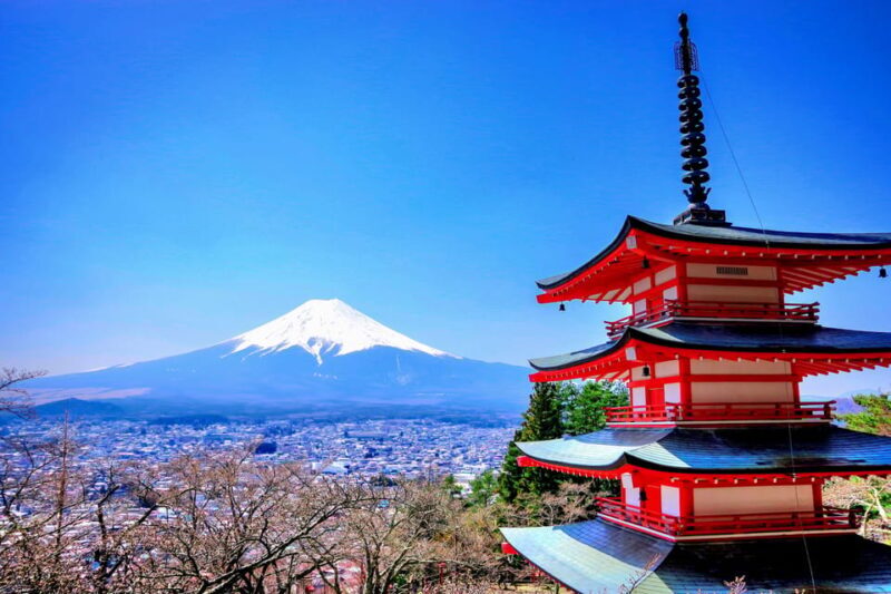 From Tokyo: Mount Fuji and Hakone Private Day Trip - Additional Tips