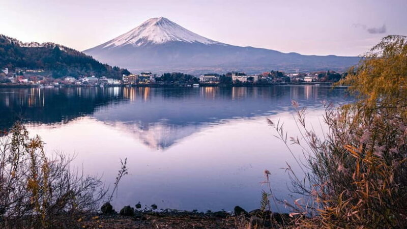 From Tokyo: Mount Fuji And Hakone Private Full Day Trip - An Overview of the Experience
