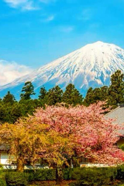 From Tokyo: Mount Fuji And Hakone Private Full Day Trip - An In-Depth Look at the Tour