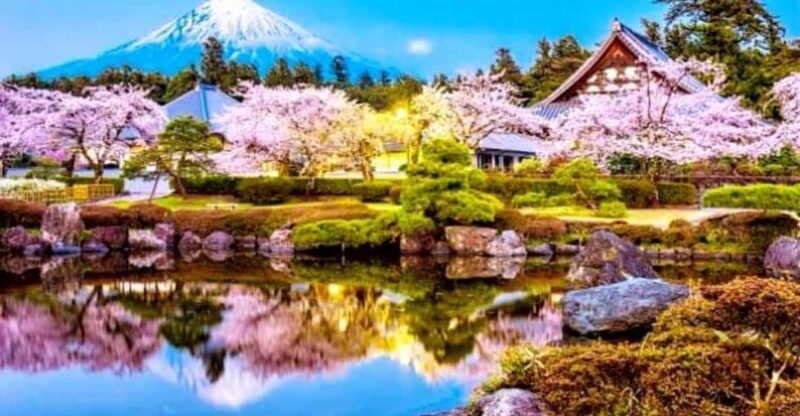 From Tokyo: Mount Fuji And Hakone Private Full Day Trip - Practical Details and Considerations