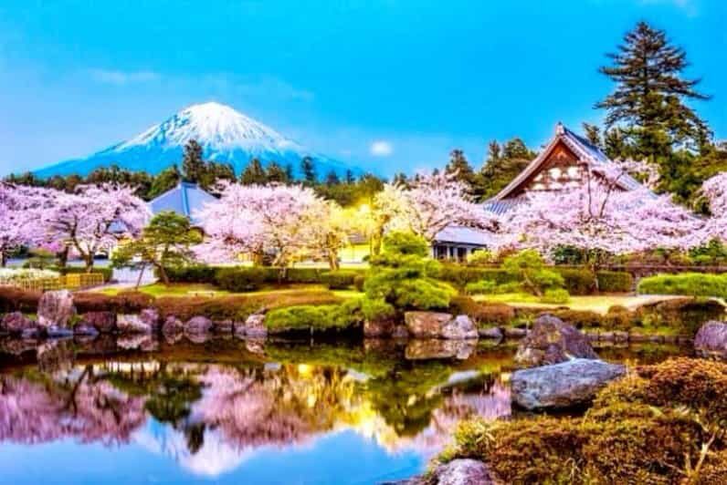 From Tokyo: Mount Fuji And Hakone Private Full Day Trip - FAQ