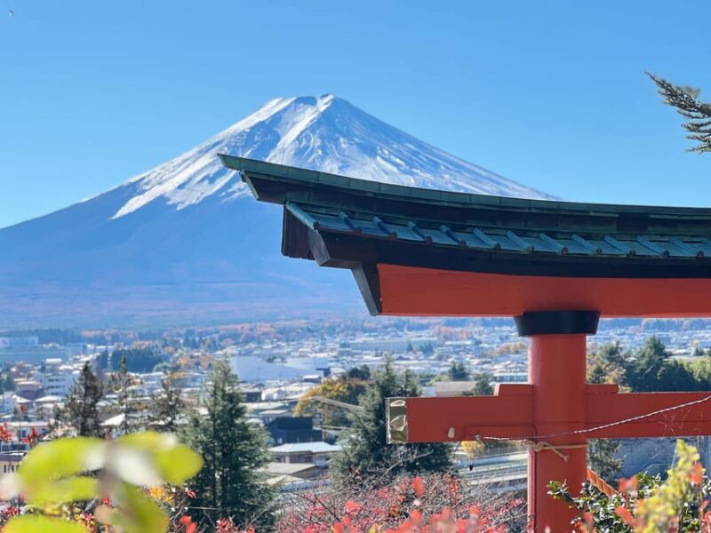 From Tokyo MOUNT FUJI and Lake Kawaguchi-ku Full Day Tour - The Experience in Action: What You’ll Actually Do