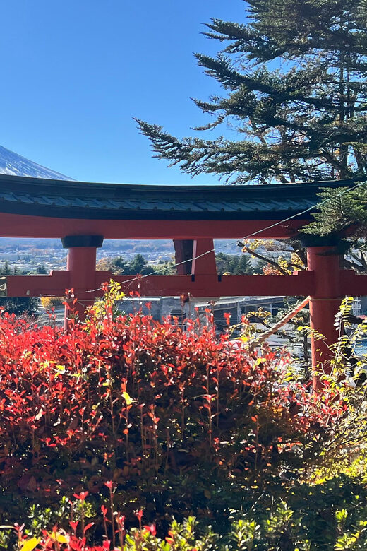 From Tokyo MOUNT FUJI and Lake Kawaguchi-ku Full Day Tour - Authenticity and Traveler Feedback