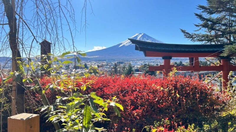 From Tokyo MOUNT FUJI and Lake Kawaguchi-ku Full Day Tour - FAQ