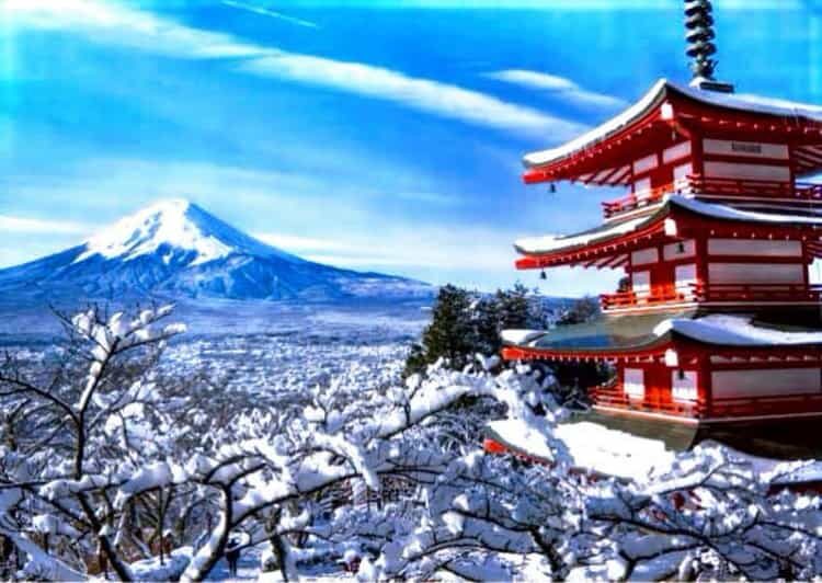 From Tokyo: Mount Fuji Full Customized Tour English Guide - Key Points