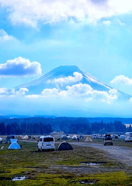 From Tokyo: Mount Fuji Full Day Customizable Private Tour - Key Points