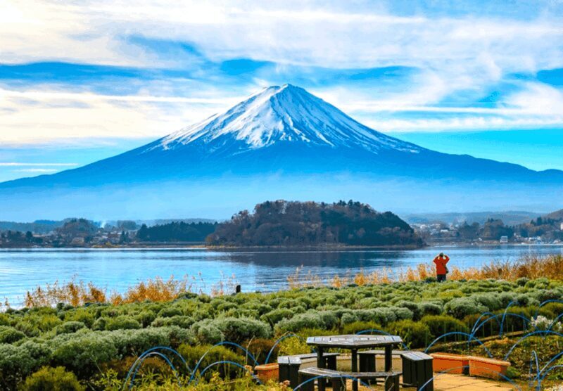 From Tokyo: Mount Fuji Full Day Customizable Private Tour - The Experience in Detail