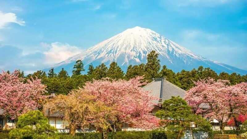 From Tokyo: Mount Fuji Full Day Customizable Private Tour - An In-Depth Look at the Tour Experience