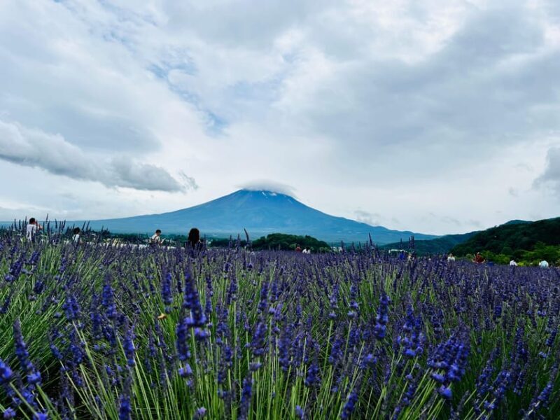 From Tokyo: Mount Fuji Full Day Customizable Private Tour - FAQs