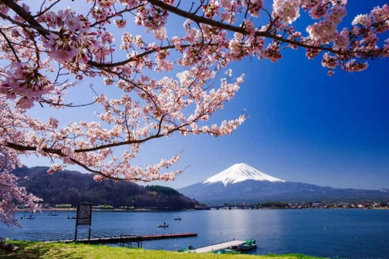 From Tokyo: Mount Fuji Full Day Private Customizable Tour - Who Will Love This Tour?