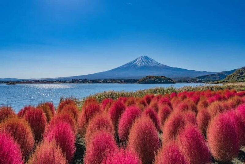 From Tokyo: Mount Fuji Full Day Private Customizable Tour - FAQs