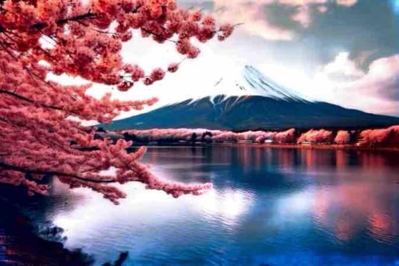 From Tokyo: Mount Fuji Full Day Private Tour English Guide - Key Points