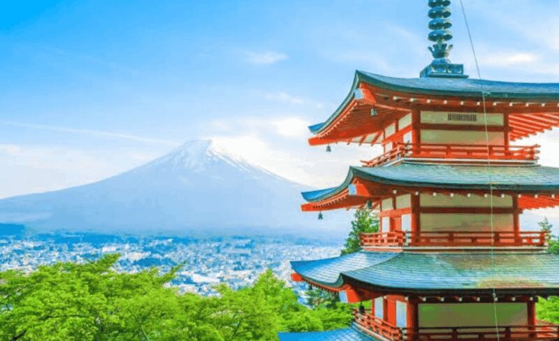 From Tokyo: Mount Fuji Full Day Private Tour English Guide - An In-Depth Look at the Tour