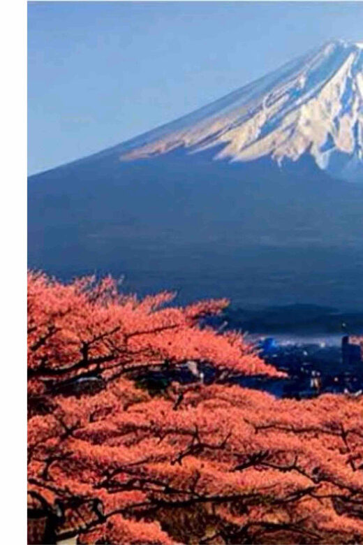 From Tokyo: Mount Fuji Full Day Private Tour English Guide - The Sum Up