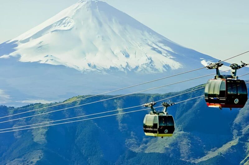 From Tokyo: Mount Fuji & Hakone Full Day Private Tour - FAQ
