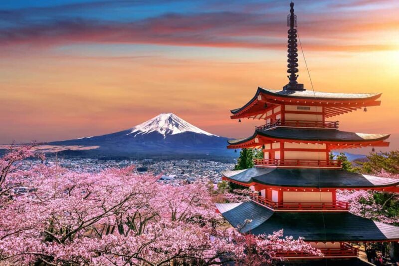 From Tokyo: Mount Fuji Highlights Private Tour - Transportation and Duration