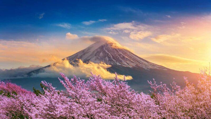 From Tokyo: Mount Fuji Highlights Private Tour - Price and Value