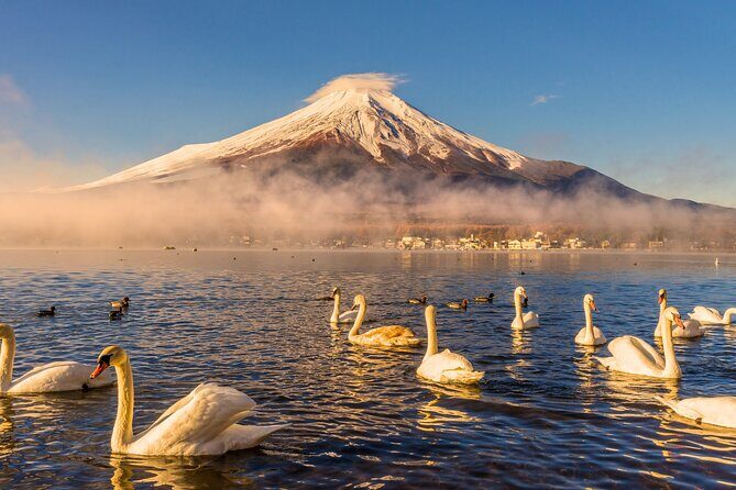 From Tokyo: Mount Fuji Highlights Tour with Kawaguchi Lake Cruise - Key Points