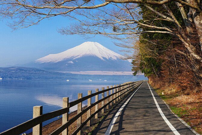 From Tokyo: Mount Fuji Highlights Tour with Kawaguchi Lake Cruise - FAQ
