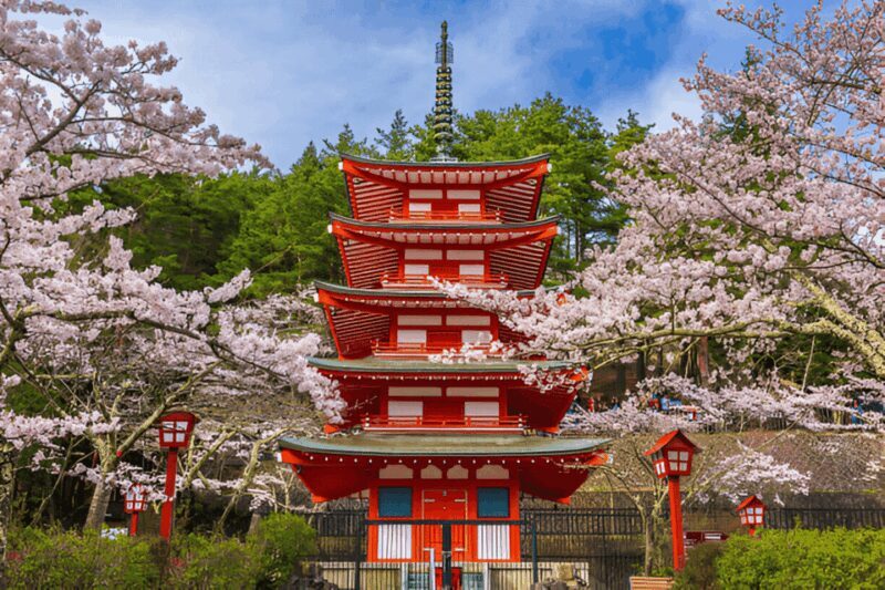 From Tokyo: Mount Fuji or Hakone Customized Day Trip - An In-Depth Look at Your Day Trip