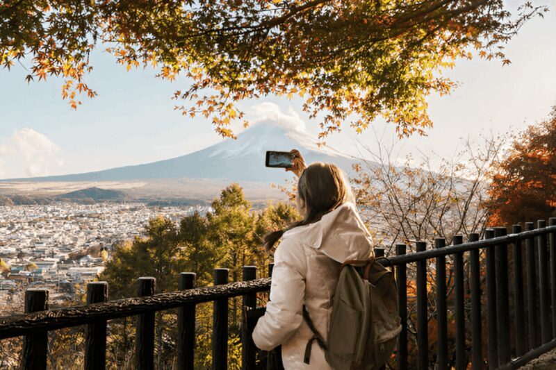 From Tokyo: Mount Fuji or Hakone Customized Day Trip - The Sum Up