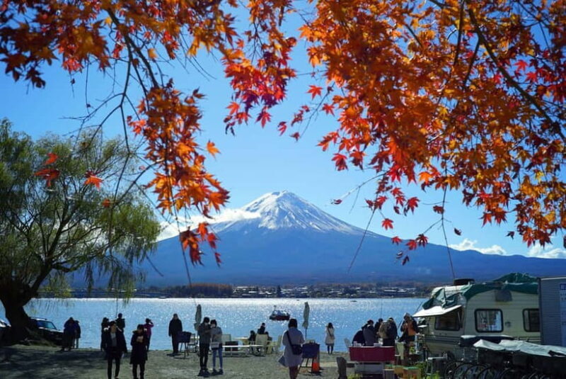 From Tokyo: Mount Fuji Private Day Tour Fully Customizable - Exploring the Itinerary: What You Can Expect
