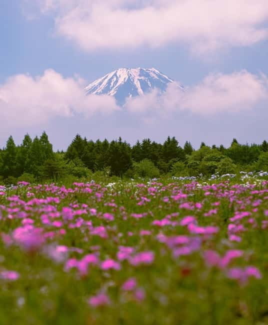 From Tokyo: Mount Fuji Private Day Tour Fully Customizable - Practical Tips for Travelers