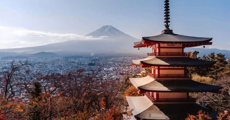 From Tokyo : Mount Fuji Private Day Tour with English Driver - What Makes This Tour Stand Out