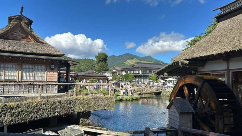 From Tokyo : Mount Fuji Private Day Tour with English Driver - Who Would Love This Tour?