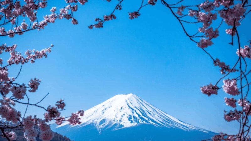 From Tokyo: Mount Fuji Private Day Tour With English Guide - Key Points