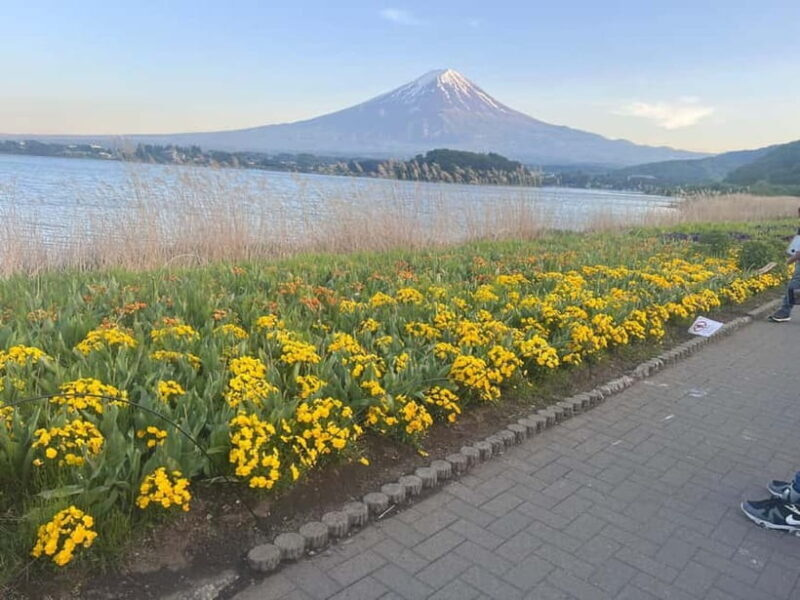 From Tokyo: Mount Fuji Private Tour with a Driver/Guide - Why Choose This Mount Fuji Private Tour?