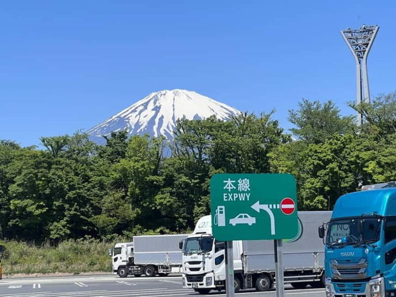 From Tokyo: Mount Fuji Private Tour with a Driver/Guide - What the Reviews Say