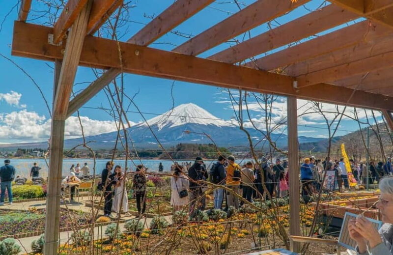 From Tokyo: Mount Fuji Private Tour with a Driver/Guide - The Sum Up