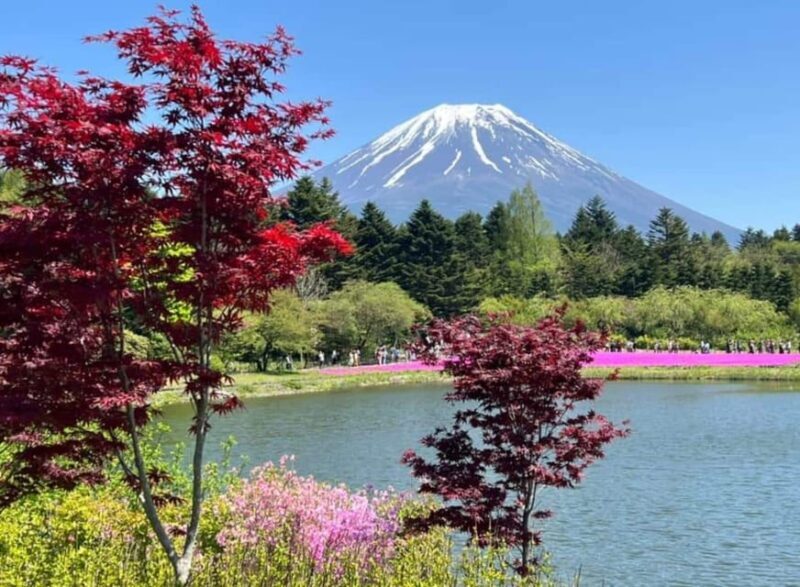 From Tokyo: Mount Fuji Private Tour With English speaking Dr - FAQs