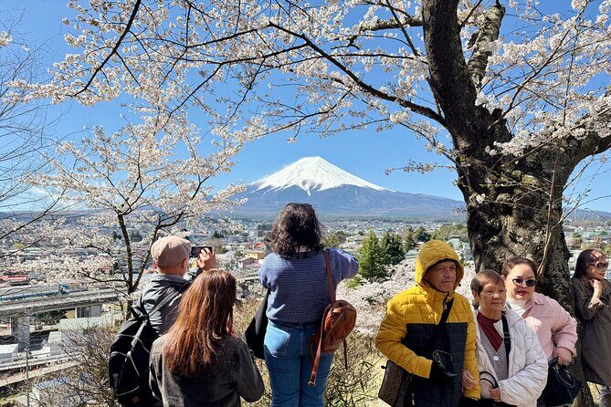 From Tokyo: Mount Fuji Private Trip with English Speaking Driver - The Sum Up