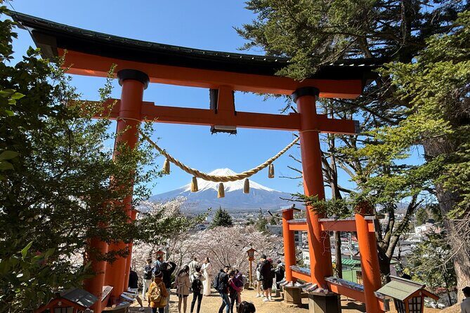 From Tokyo: Mount Fuji Private Trip with English Speaking Driver - FAQ