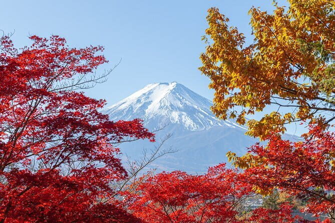 From Tokyo: Mount Fuji Sightseeing One Day Trip - An Overview of the Experience