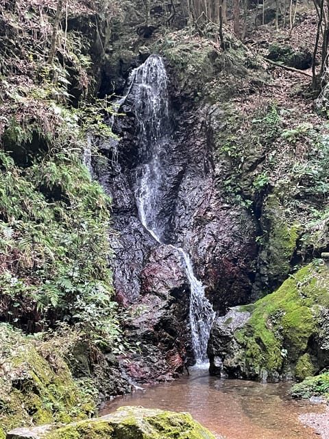 From Tokyo: Mountain Ridge Hike & Scenic Waterfall Day Tour - Key Points