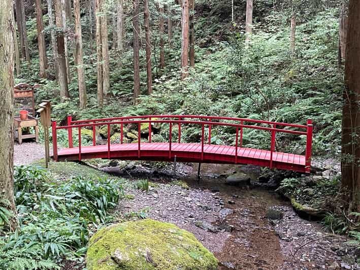 From Tokyo: Mountain Ridge Hike & Scenic Waterfall Day Tour - An Overview of the Experience